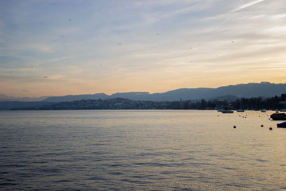 Chinagarten Zürich view 1