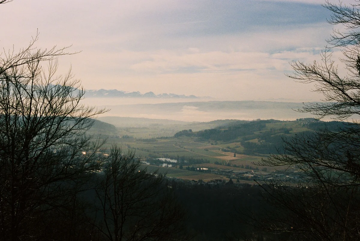 Activity view 2
