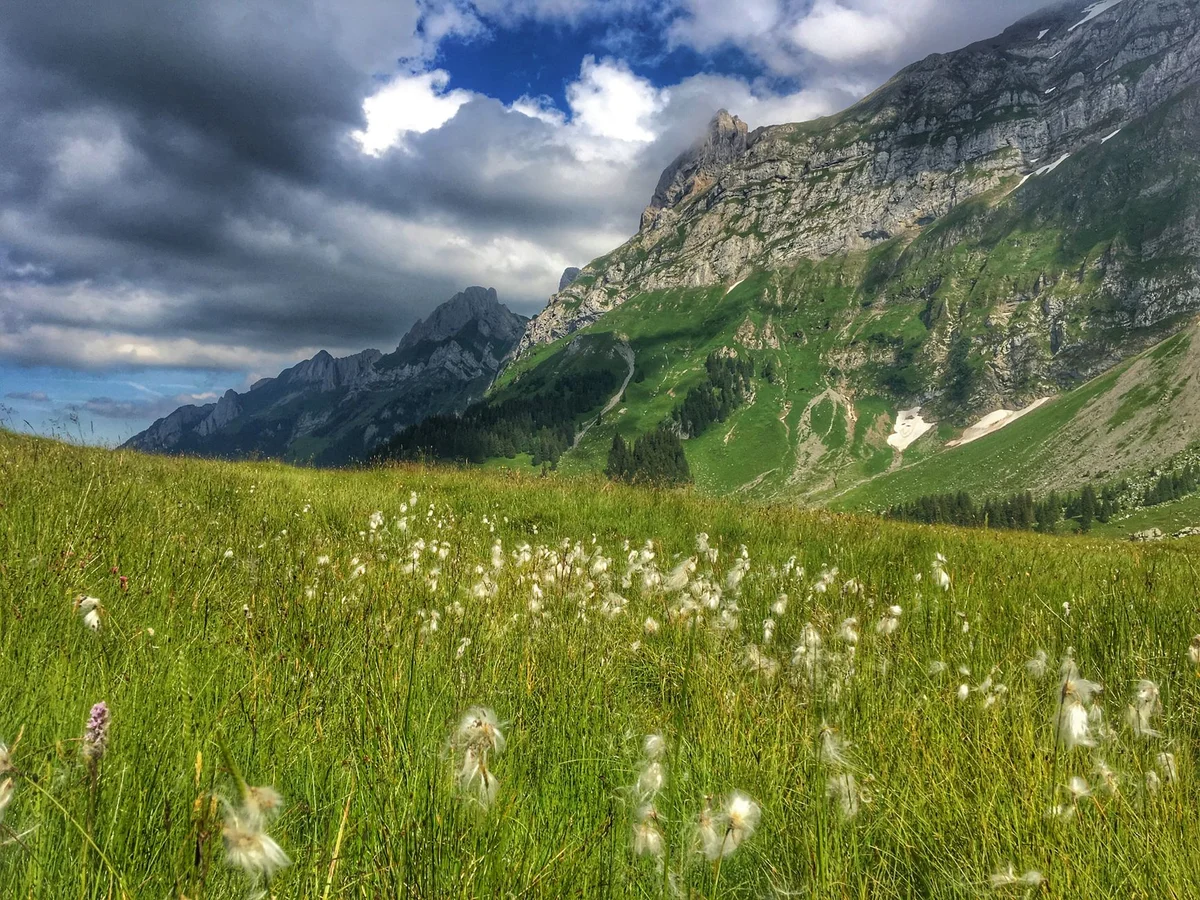 Grindelwald First view 1