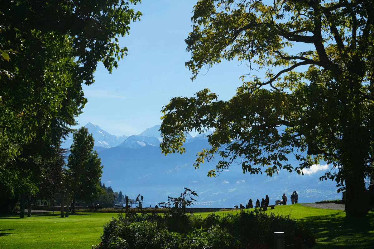 Höhematte Park feature