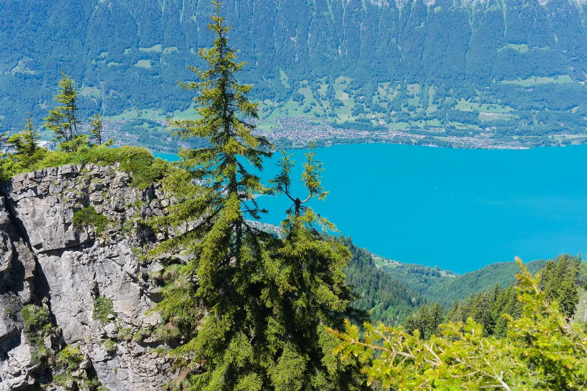 Lake Brienz feature