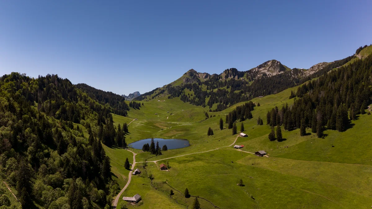 Schynige Platte Alpine Garden view 2