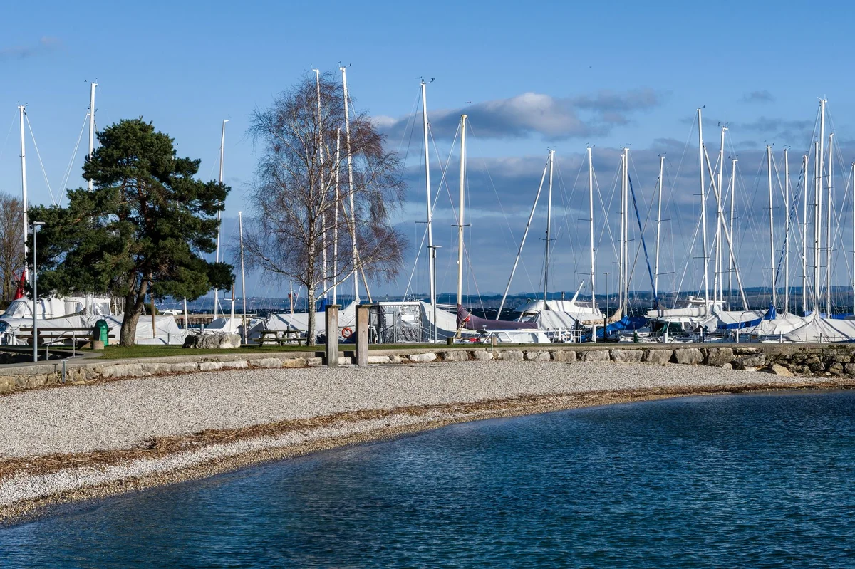 Lake Zurich Promenade feature
