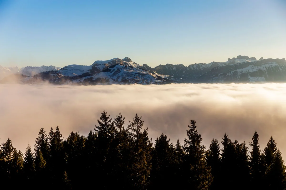 Uetliberg Lookout Tower view 2