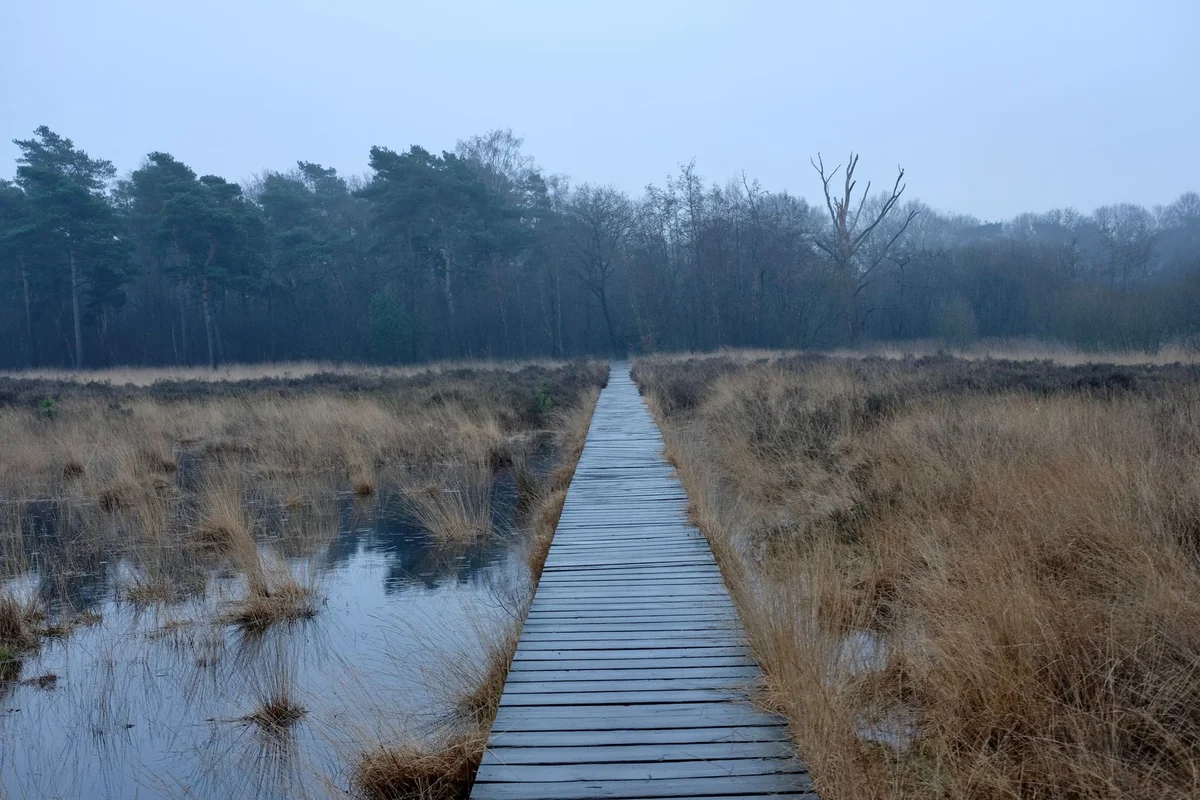 Weissenau Nature Reserve view 1