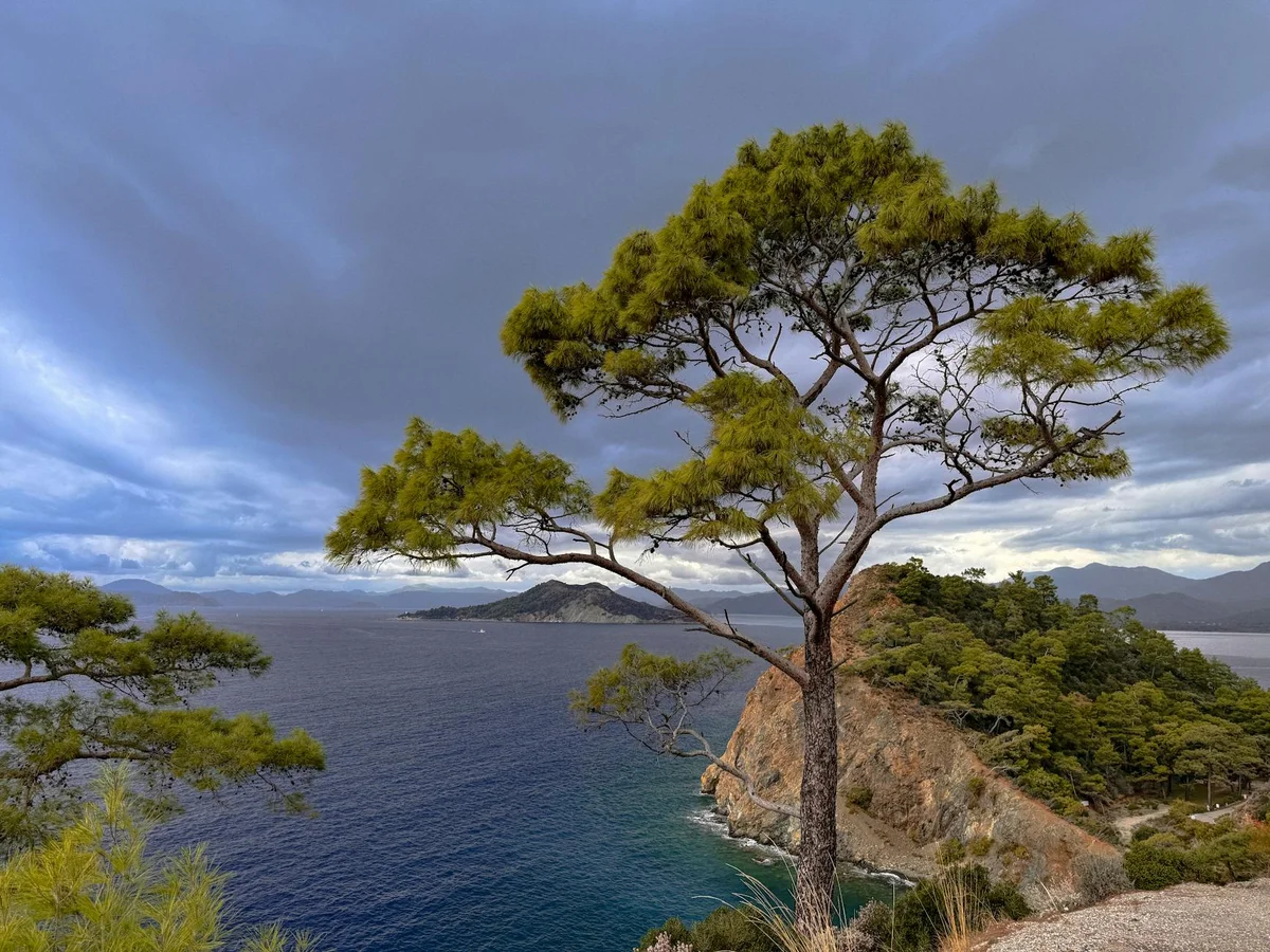 Zeytinliköy Beach feature