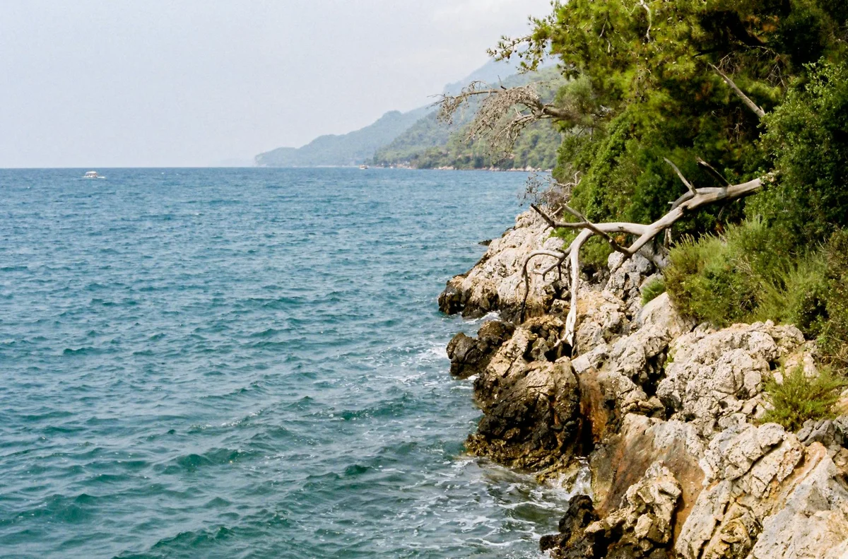 Aquarium Bay view 1