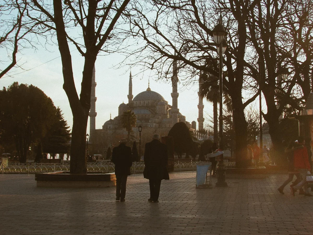 Blue Mosque view 2