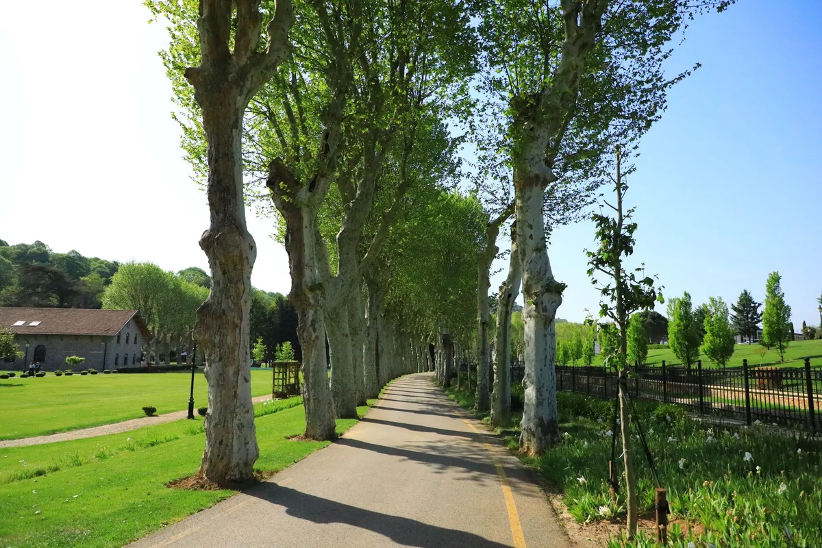 Incilipinar Park view 2