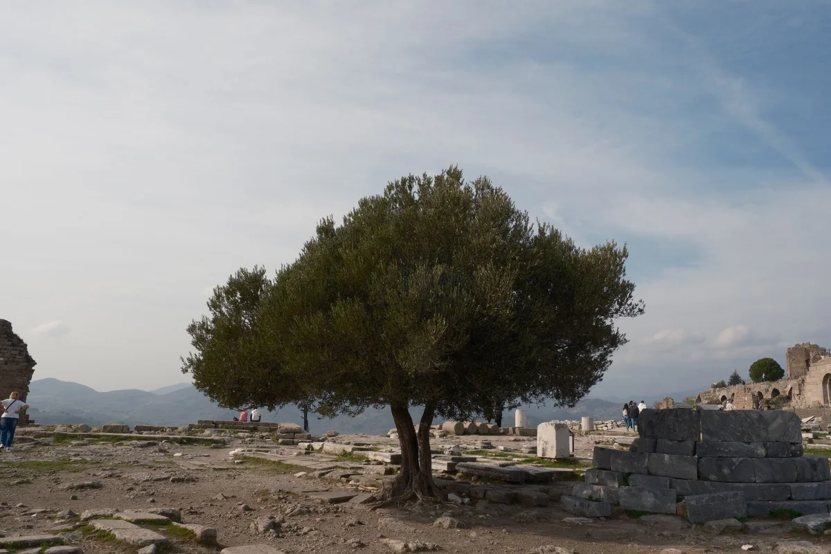 Klazomenai Ancient City view 2