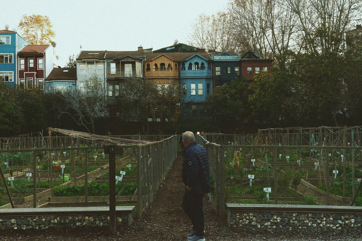 Kuzguncuk Bostanı feature