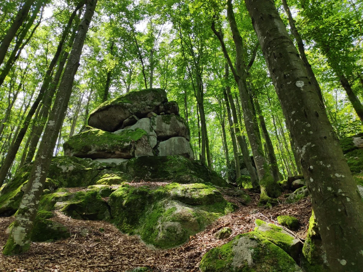 Dovbush Rocks view 1