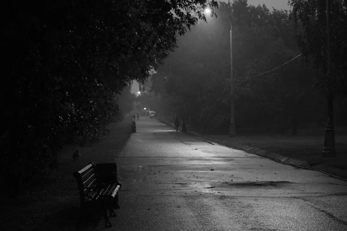 Mariinskyi Park view 1