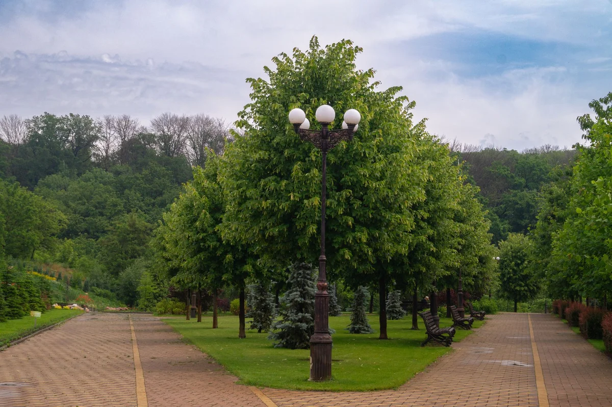 Mariinskyi Park feature