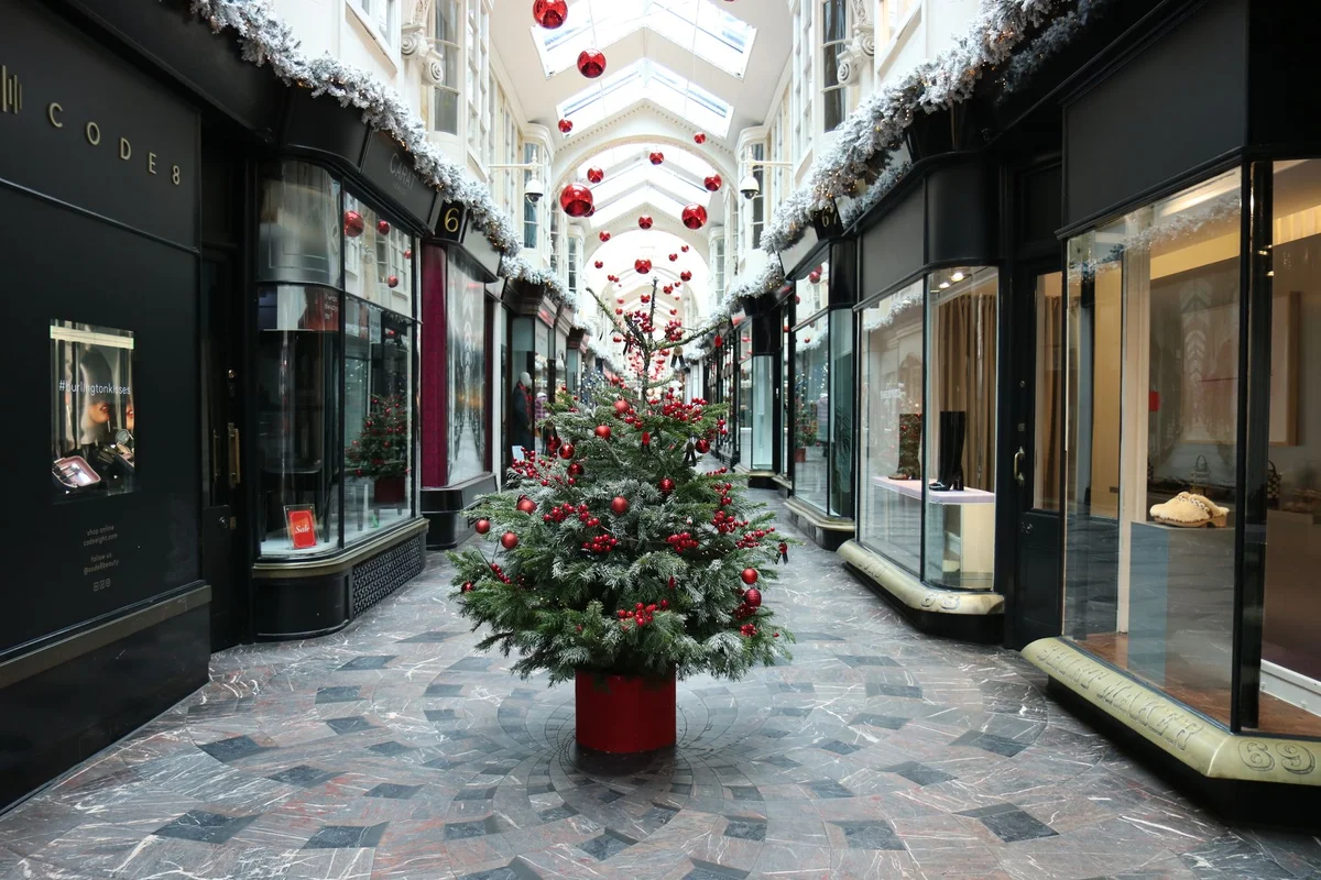 Burlington Arcade view 2