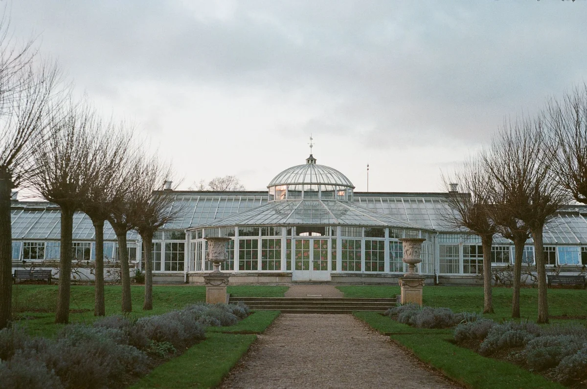 Chelsea Physic Garden view 1