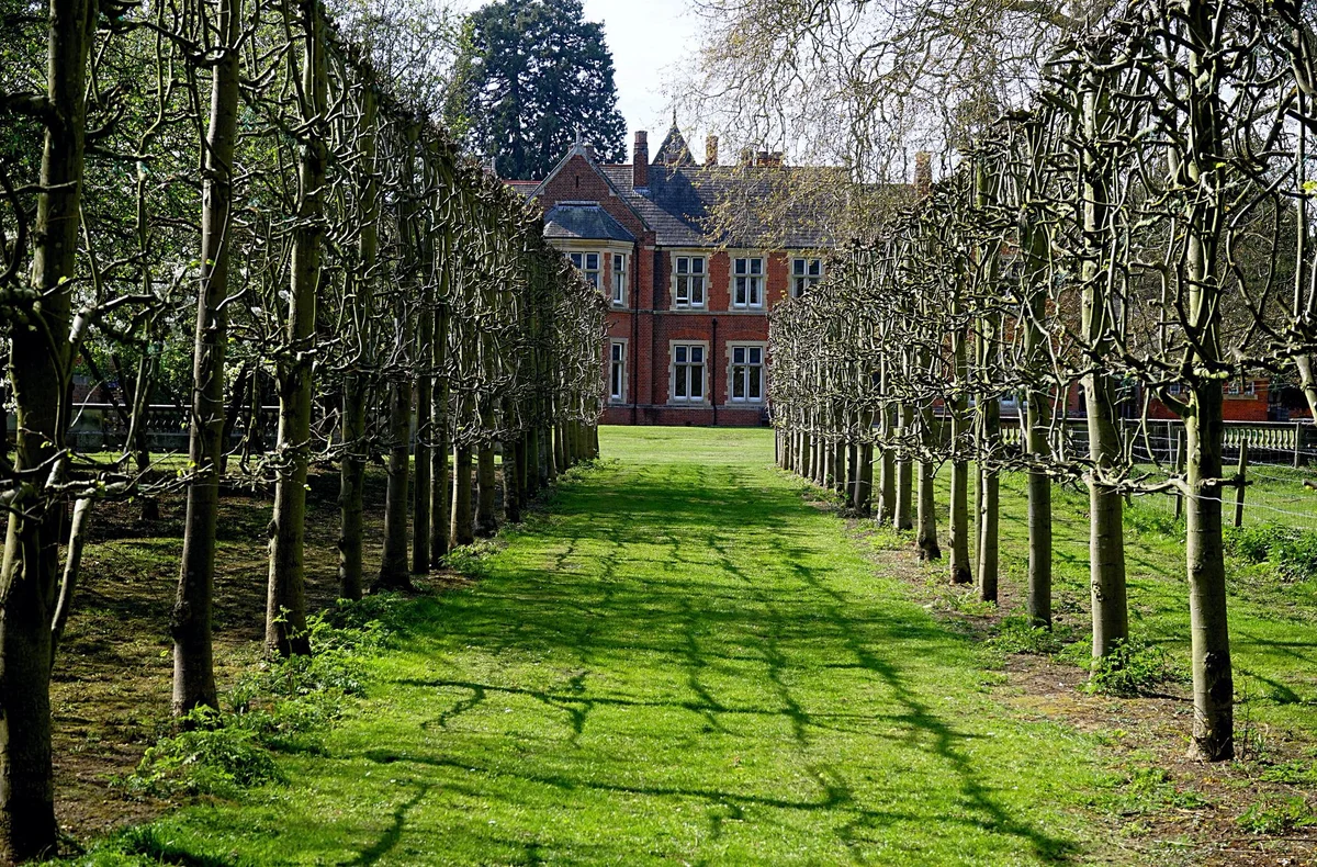Cliveden Gardens view 2