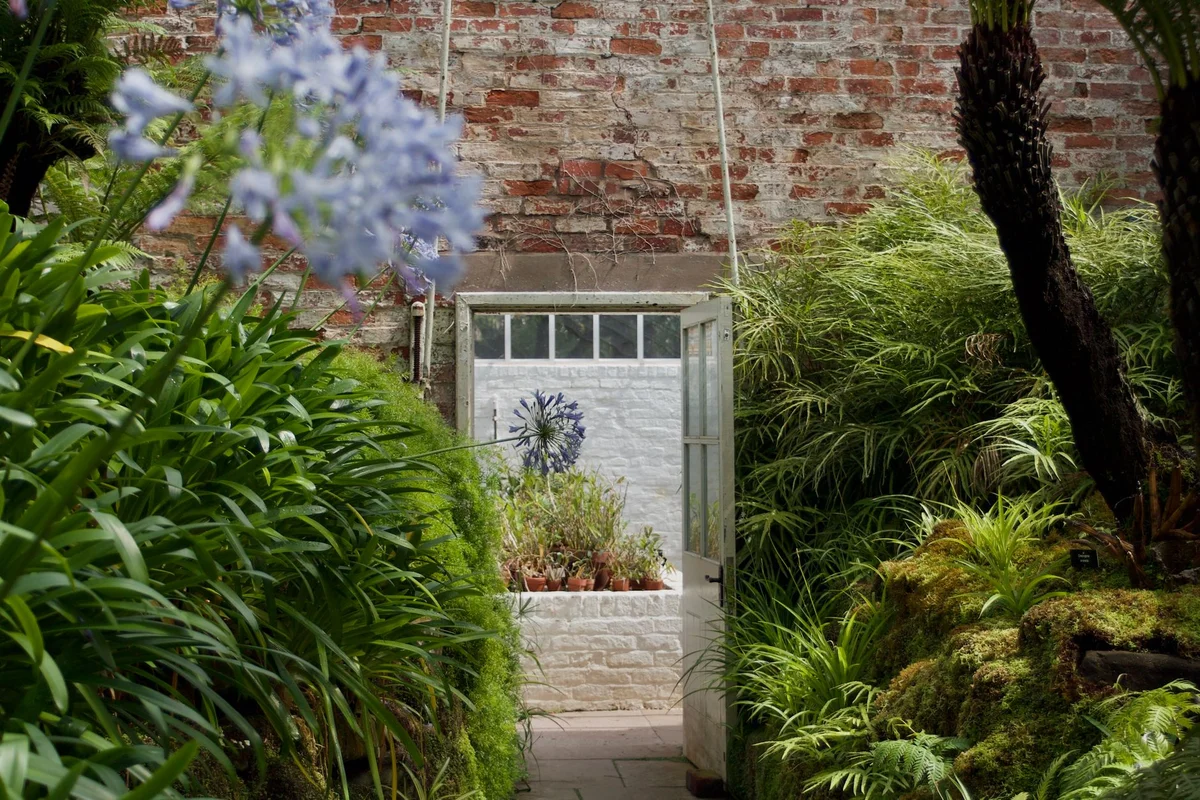 Fletcher Moss Botanical Garden view 2