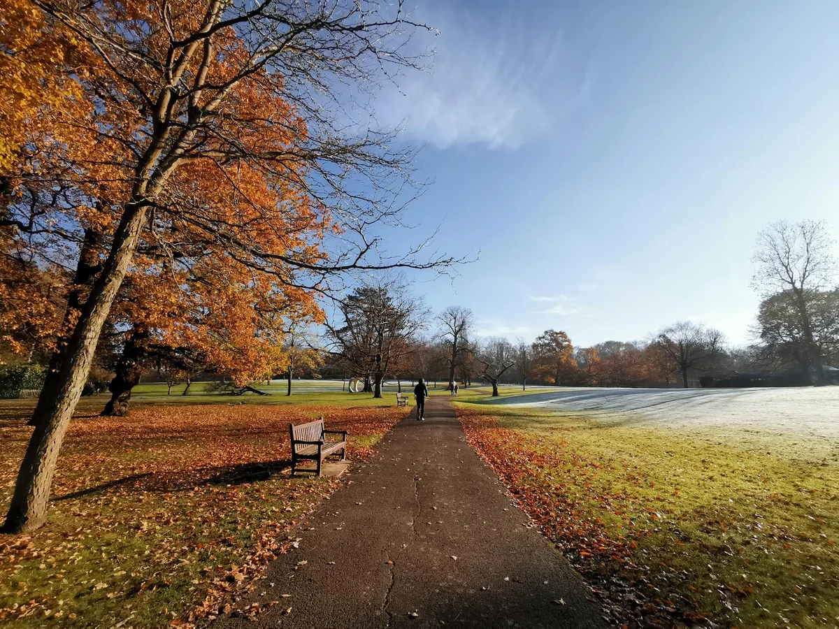 Hyde Park view 2