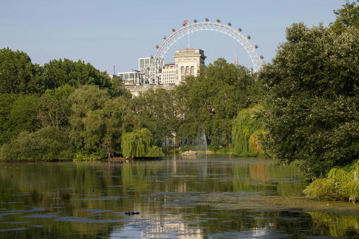 London Eye feature