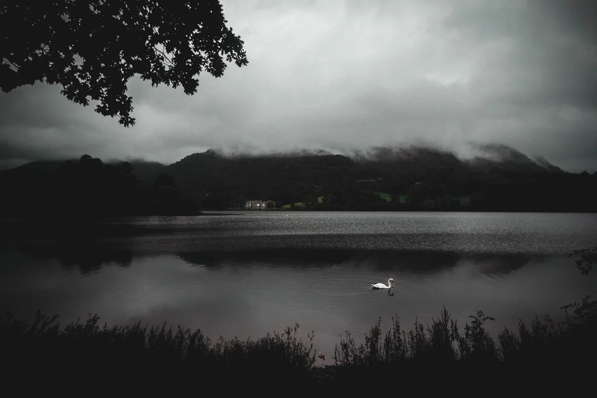 Loughrigg Fell view 1