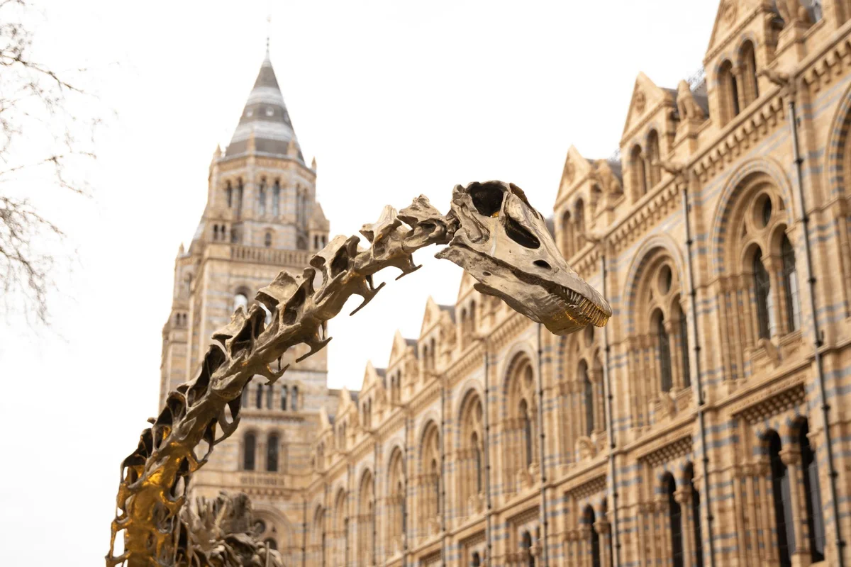 Natural History Museum London view 2
