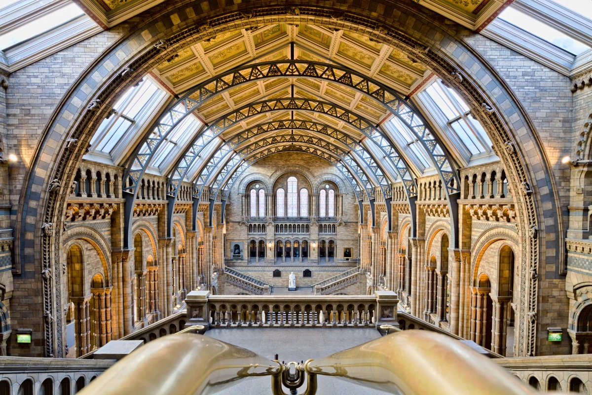 Natural History Museum London feature