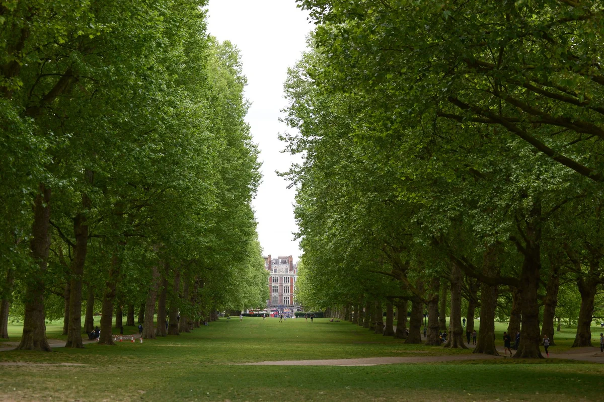 The Meadows view 1