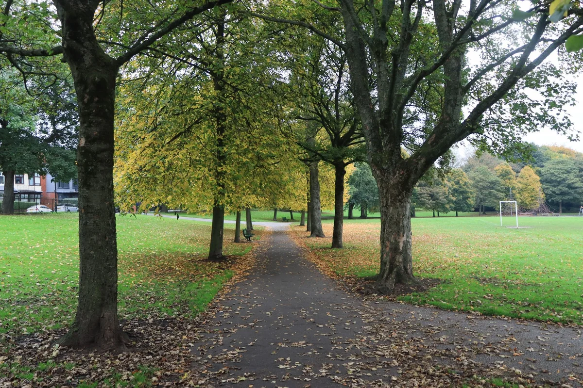 The Meadows view 2