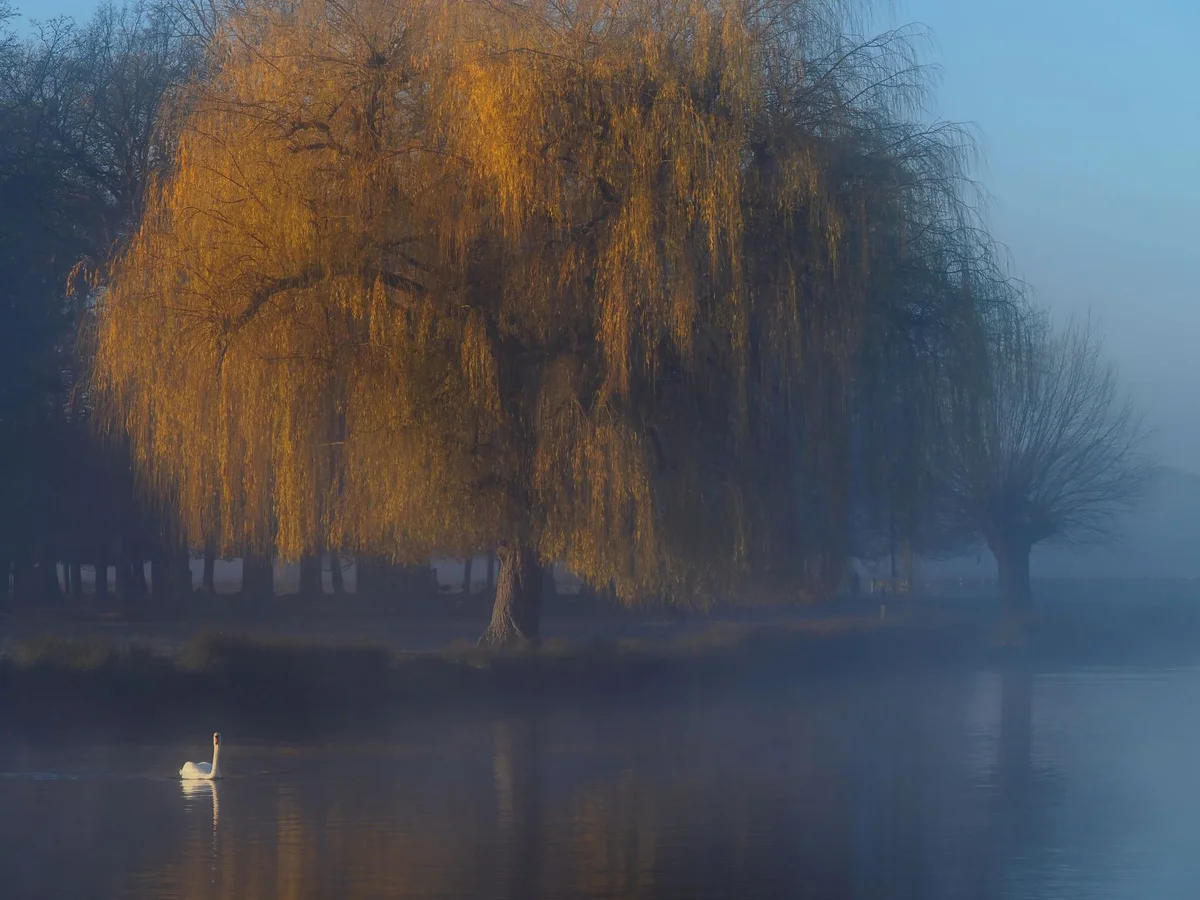 Whitworth Park view 1
