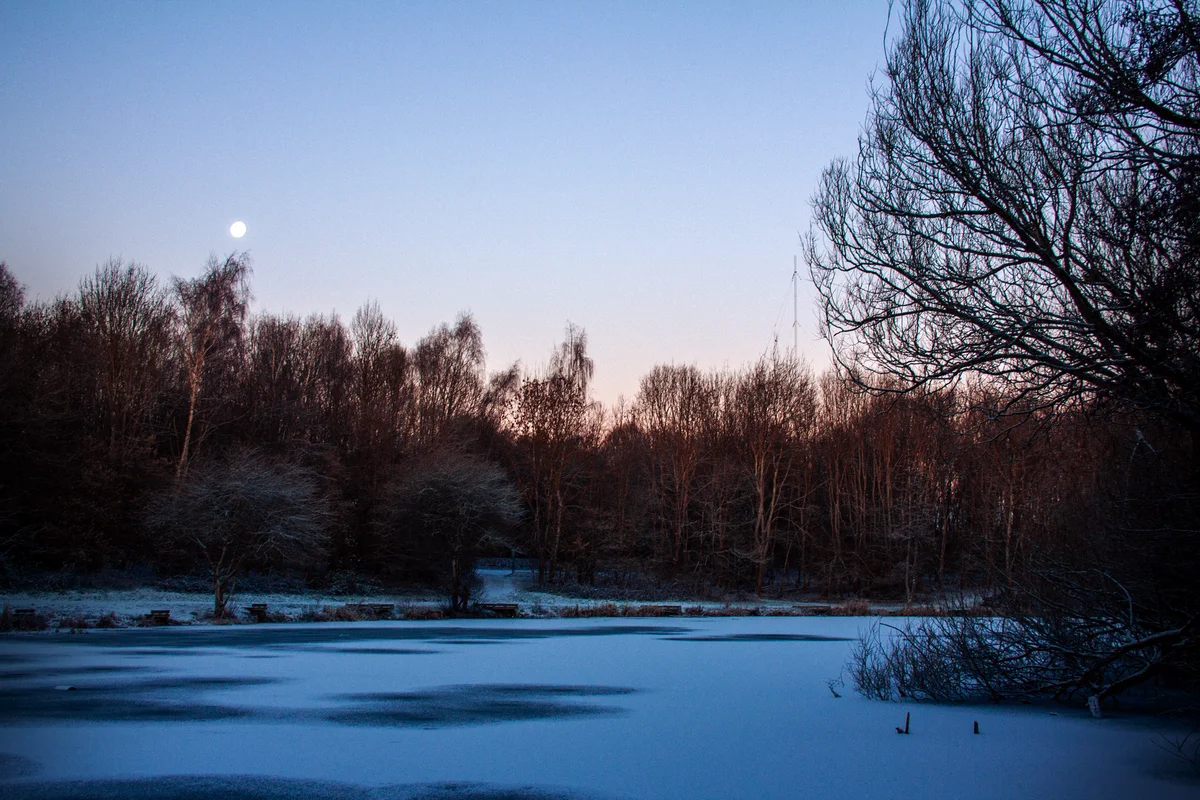 Whitworth Park view 2