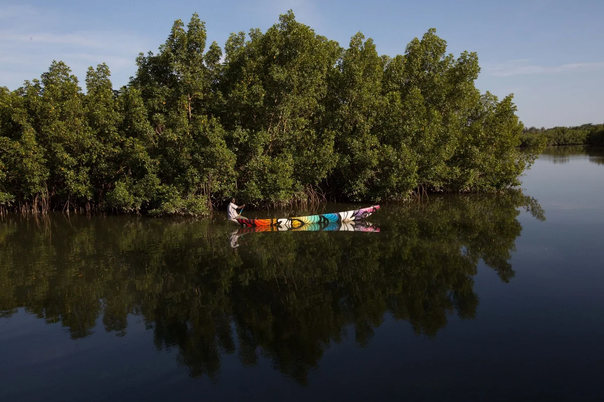 Al Thakira Mangroves view 2