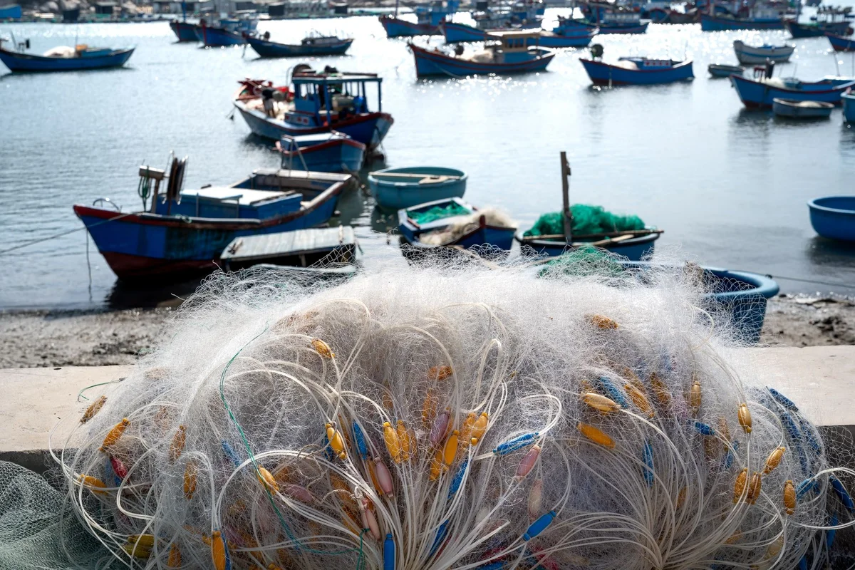 Al Wakrah Harbour feature