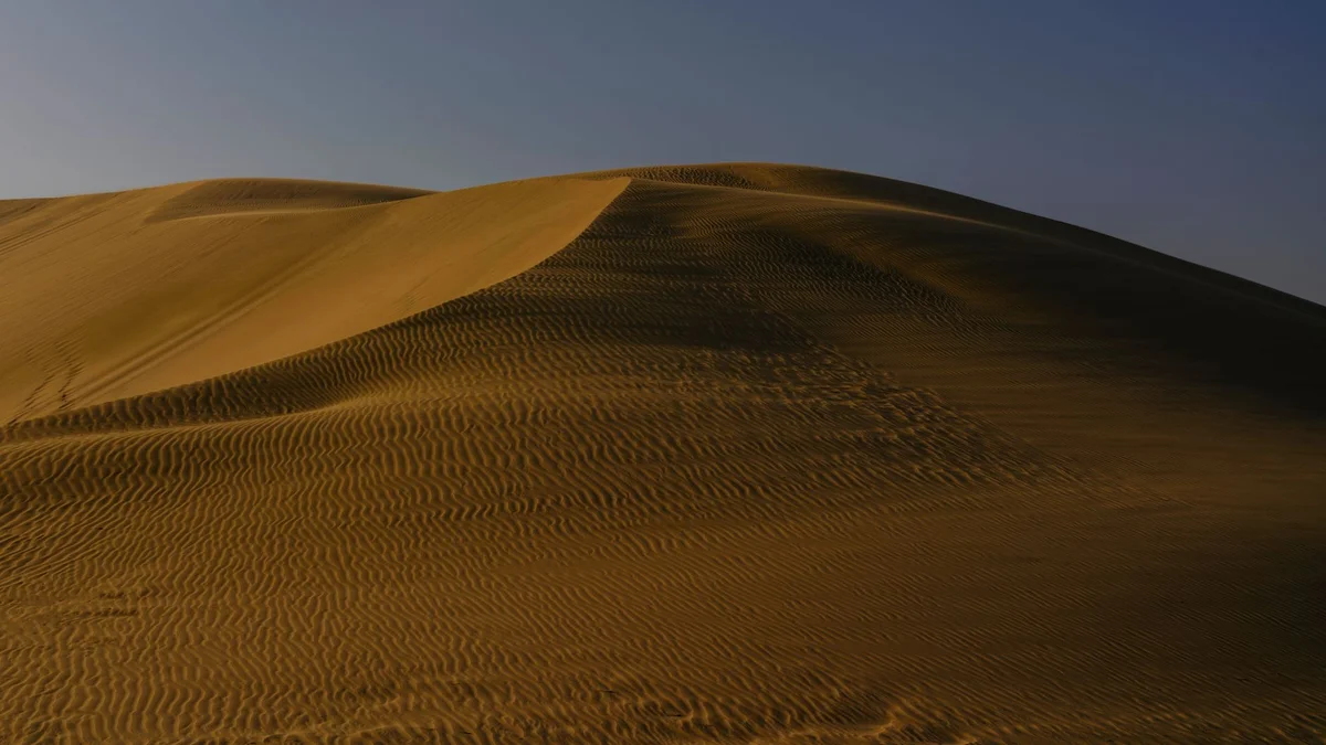 Mesaieed Dunes feature