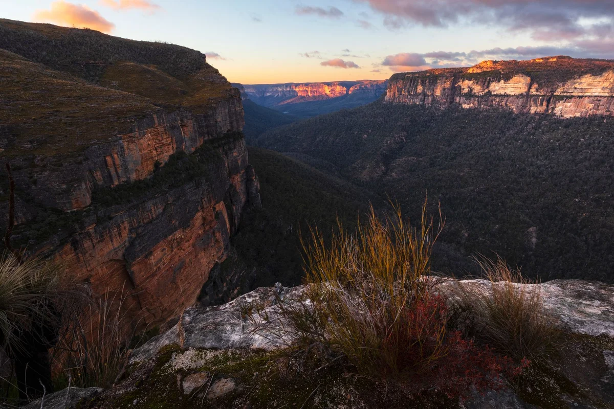 Blue Mountains National Park view 2