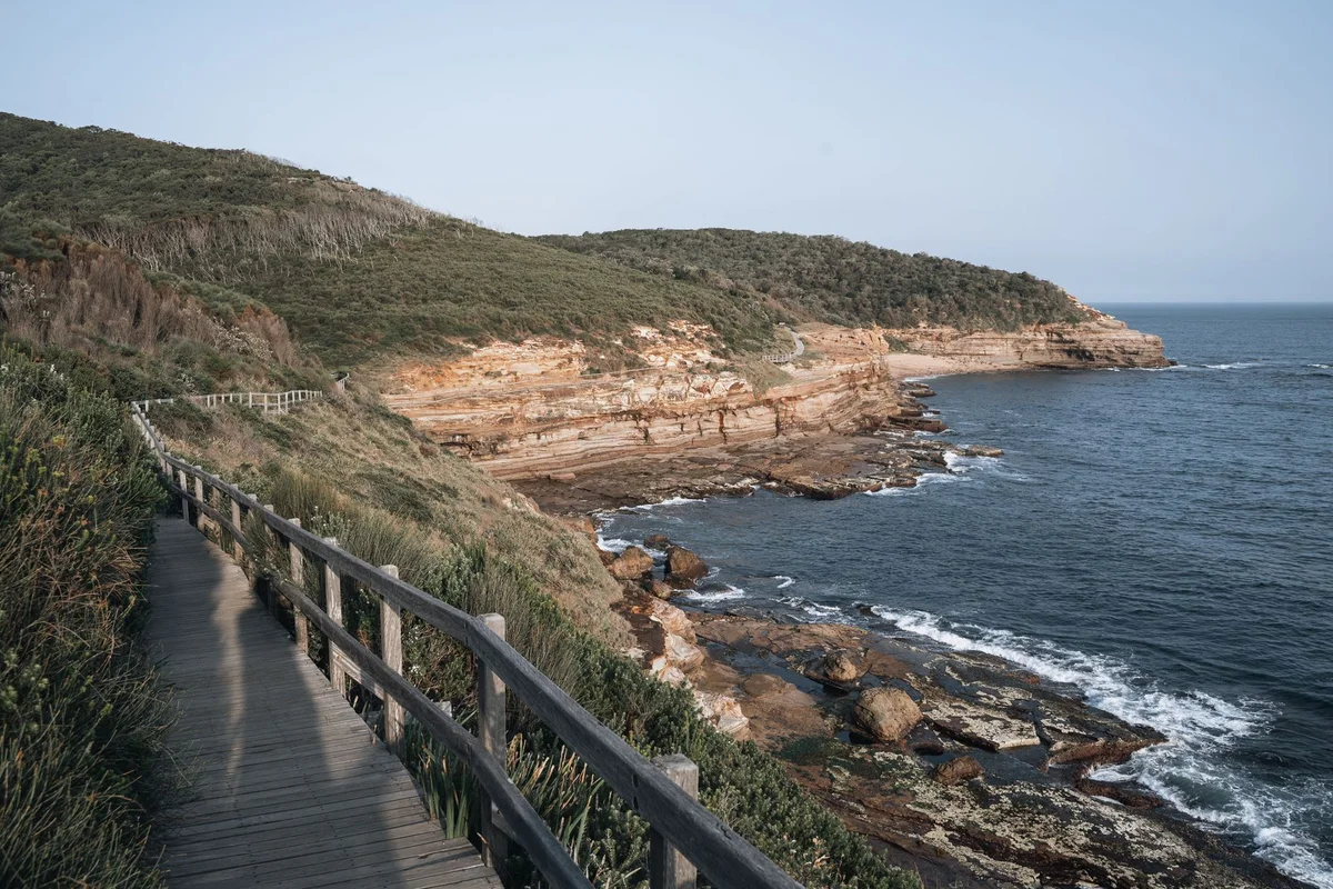 Bondi Beach feature