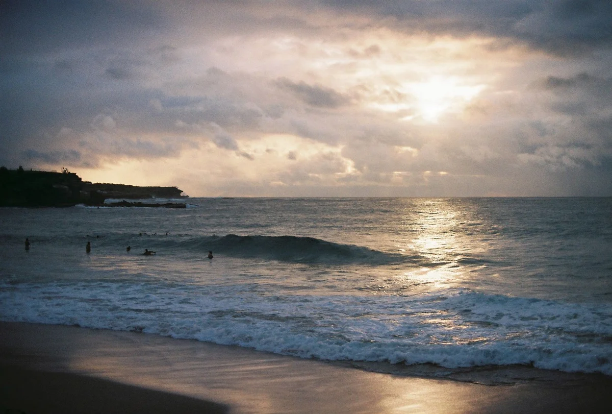 Coogee Beach feature
