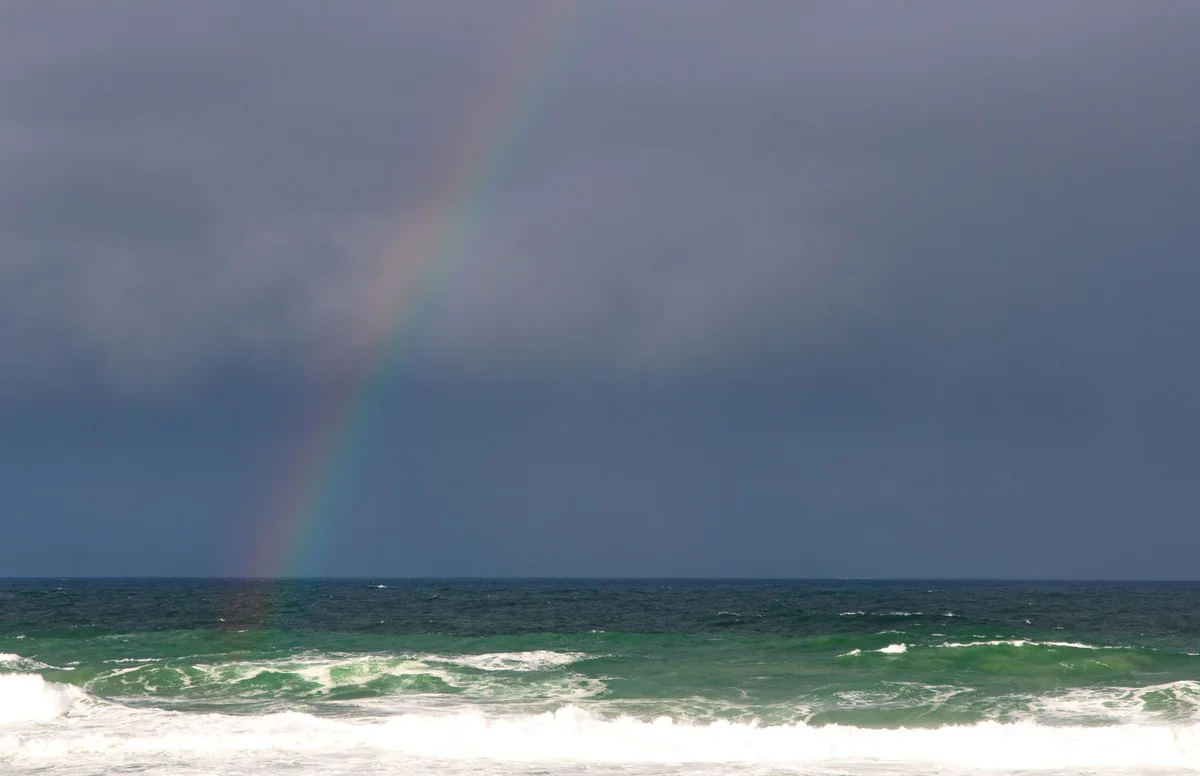 Freshwater Beach feature