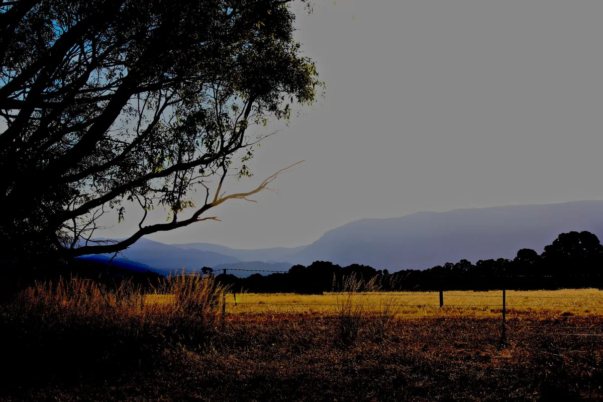 Megalong Valley feature