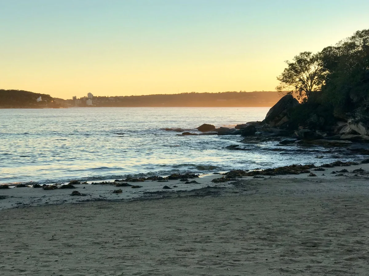 Rose Bay Water Airport view 1